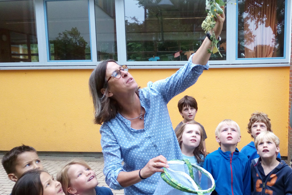 Die Vorschullehrerin zeigt einigen Vorschülern ein paar Wiesenkräuter.